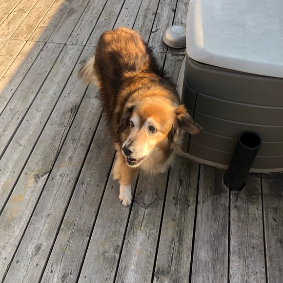 Meet your Posher, Sara - Picture 16 of 16